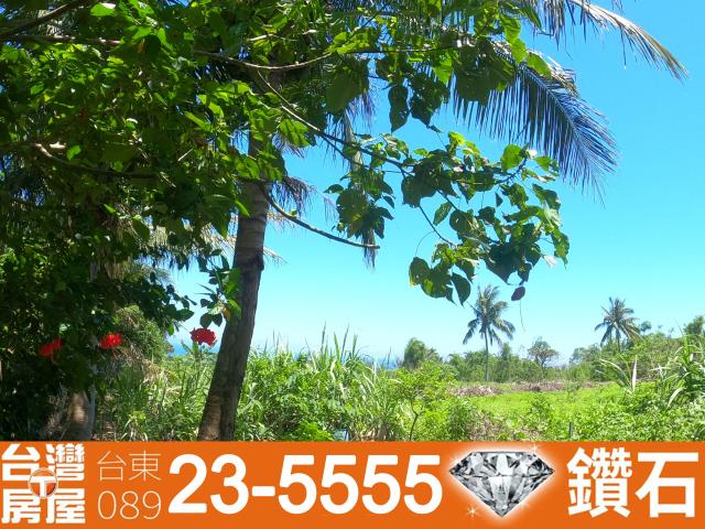 台東東河農地-8