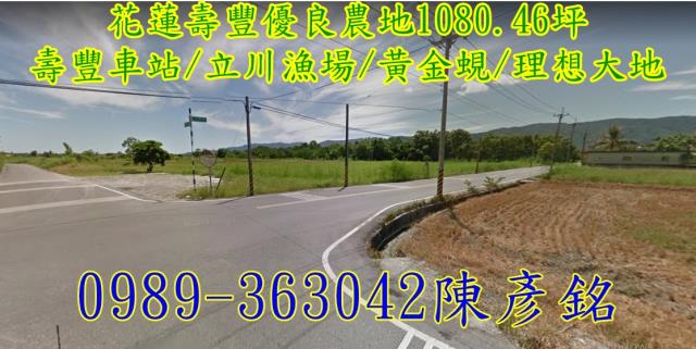 壽豐農地-1
