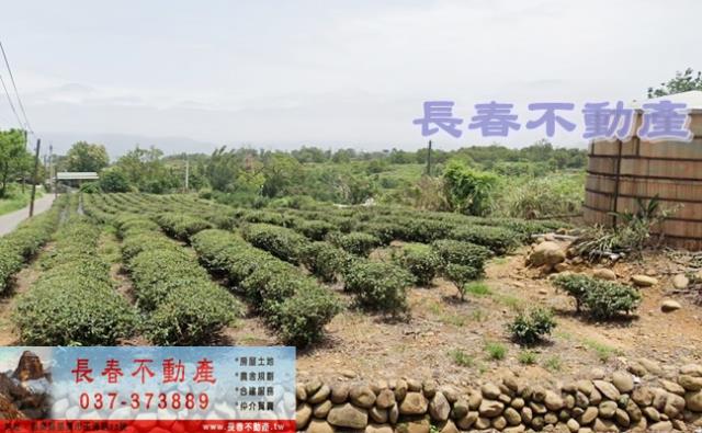 苗栗市山坡地-1
