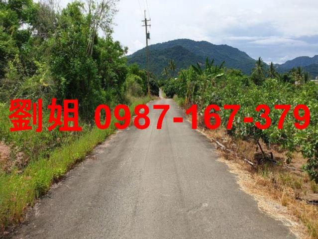 高雄杉林農地-2