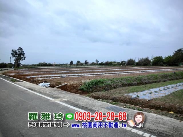 觀音建地-3