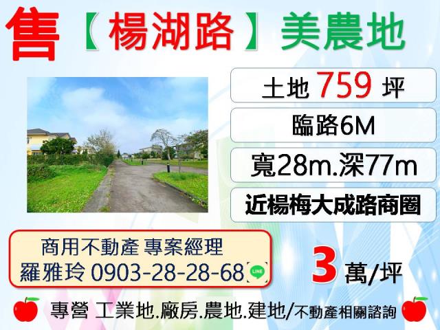 桃園農地-1