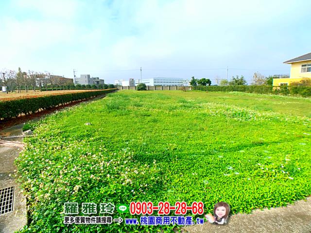 桃園農地-2
