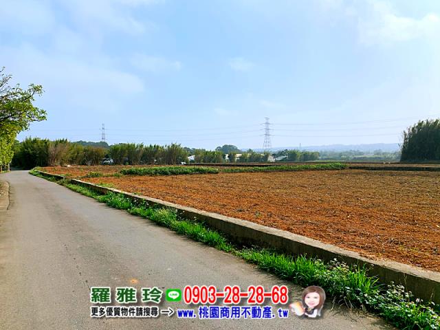桃園農地-3