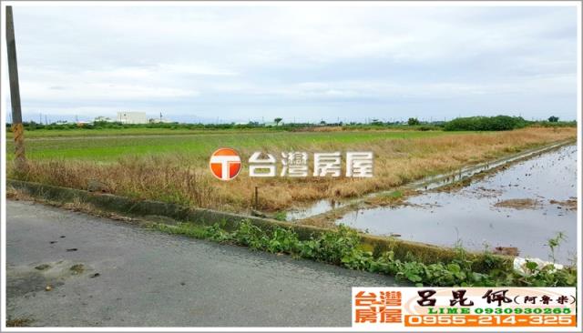 水林農地-4