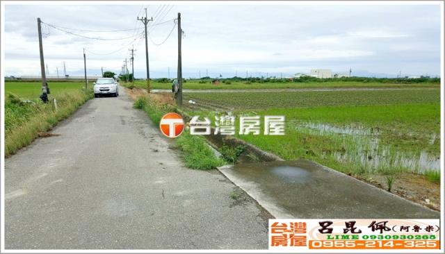 水林農地-5