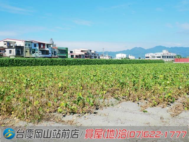 高雄美濃農地-14