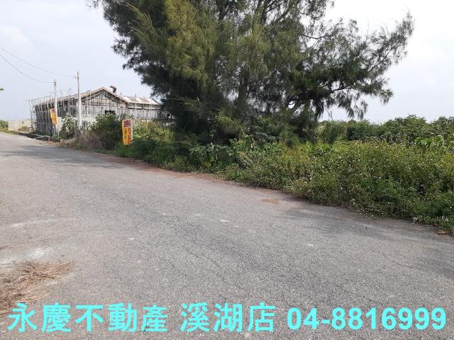大城農地-10