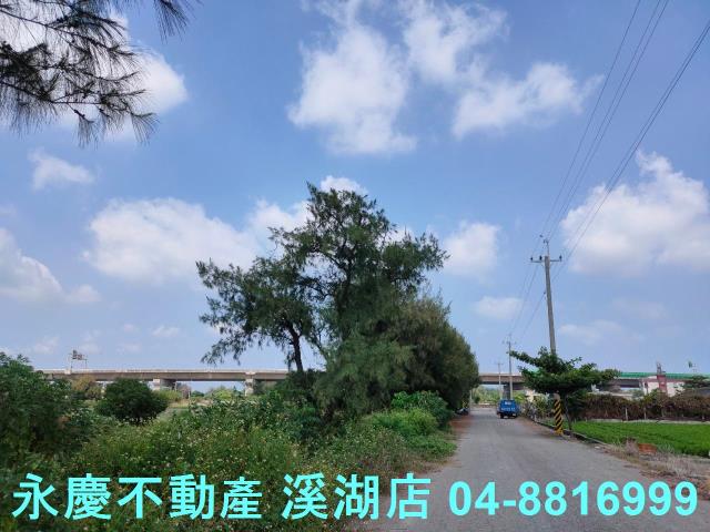 大城農地-1