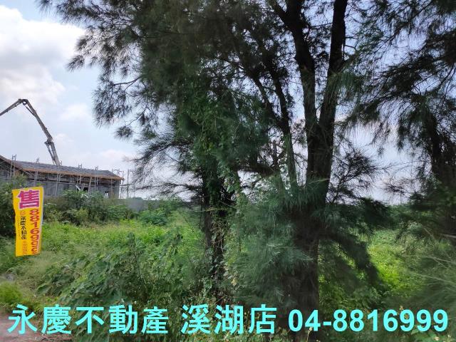 大城農地-2