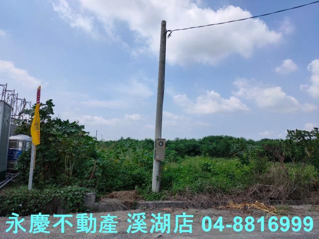 大城農地-3