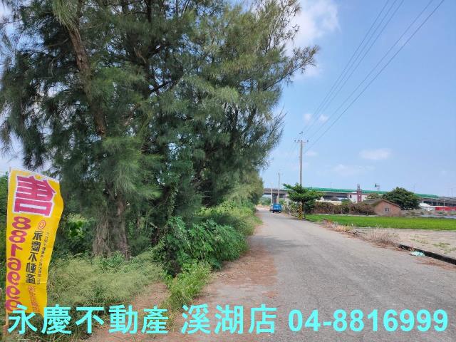 大城農地-6