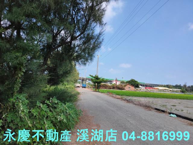 大城農地-7