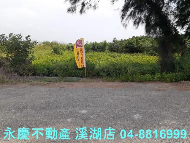 大城農地-9
