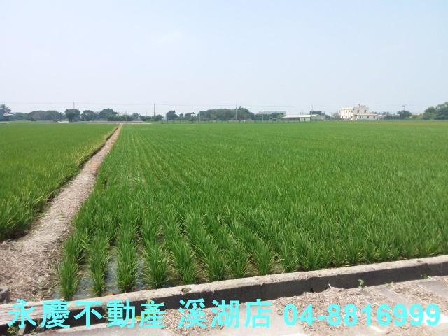 彰化農地-1