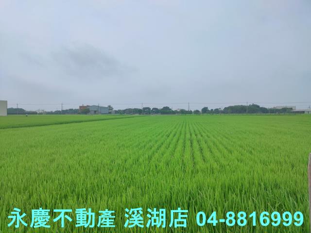 彰化農地-5