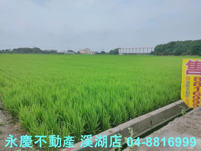 彰化農地-6