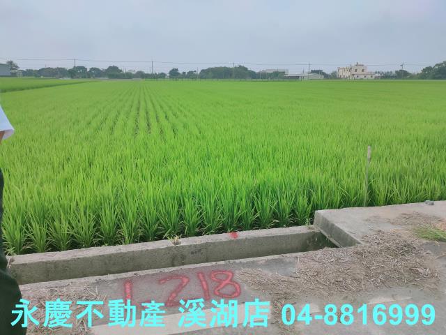 彰化農地-7