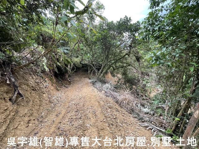 雙溪休閒地-5