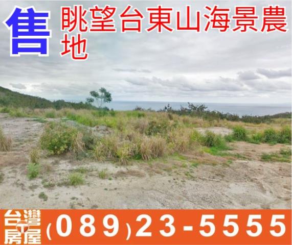 眺望台東山海景便宜農