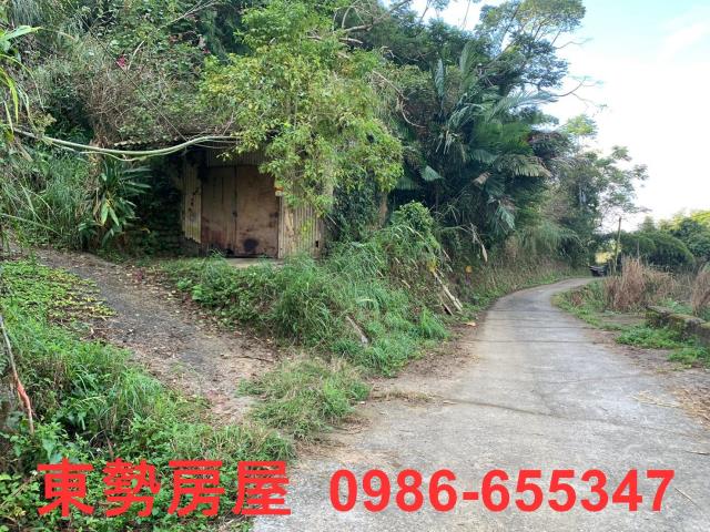 東勢農地-8