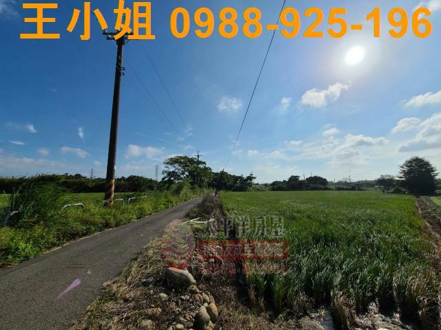 桃園農地-1