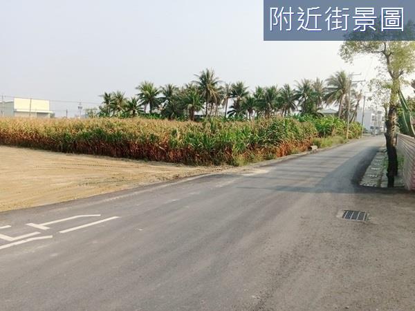 台南安定農地-10