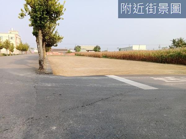 台南安定農地-1