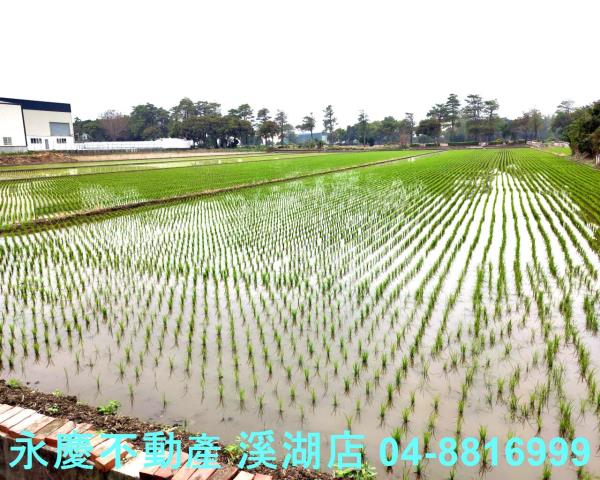 彰化埔鹽農地-3