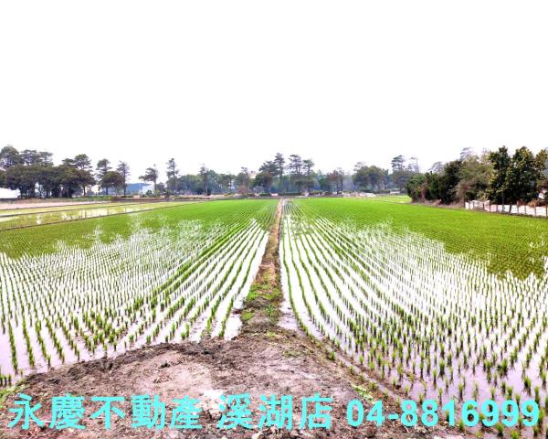 彰化埔鹽農地-5