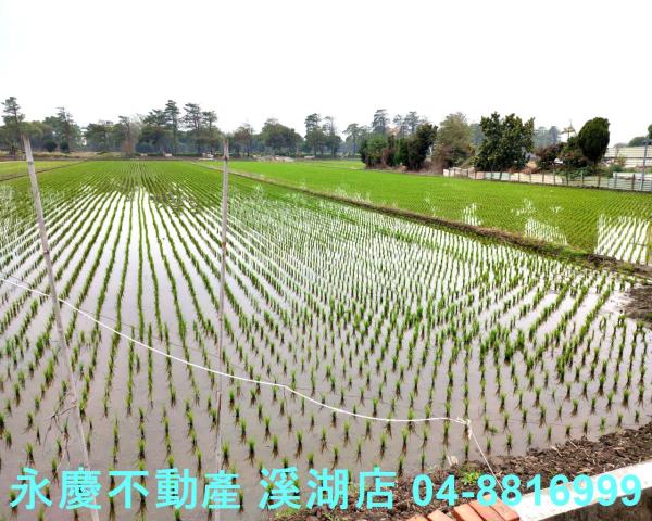 彰化埔鹽農地-6