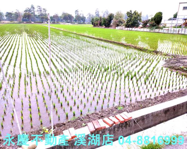 彰化埔鹽農地-7