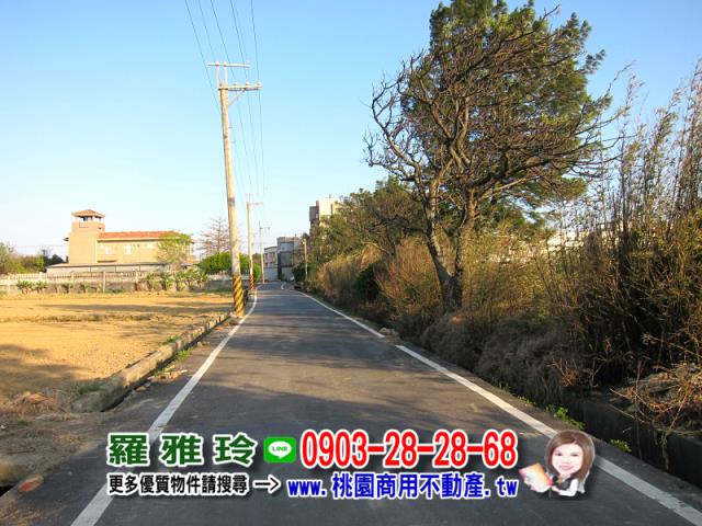桃園農地-7