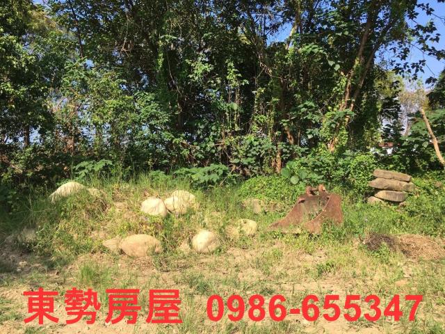 石岡農地-11