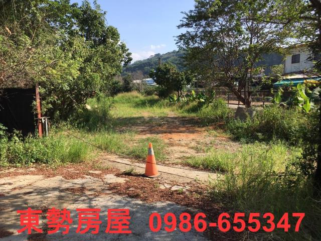 石岡農地-4