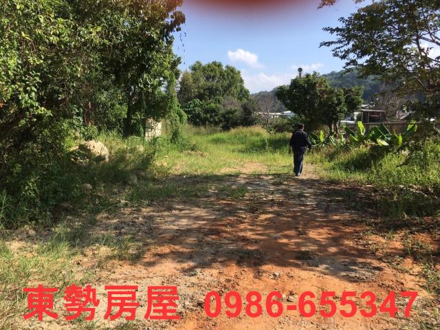 石岡農地-6