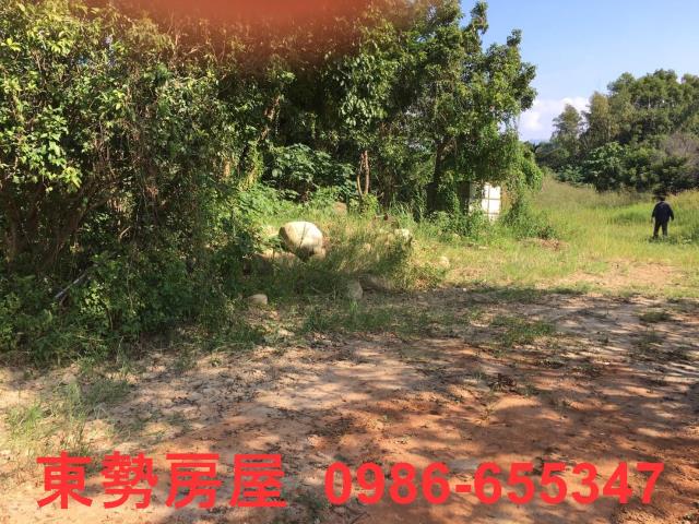 石岡農地-7