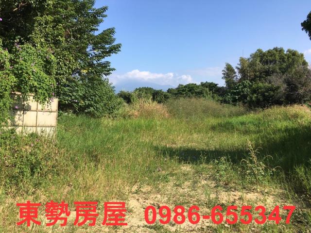石岡農地-9