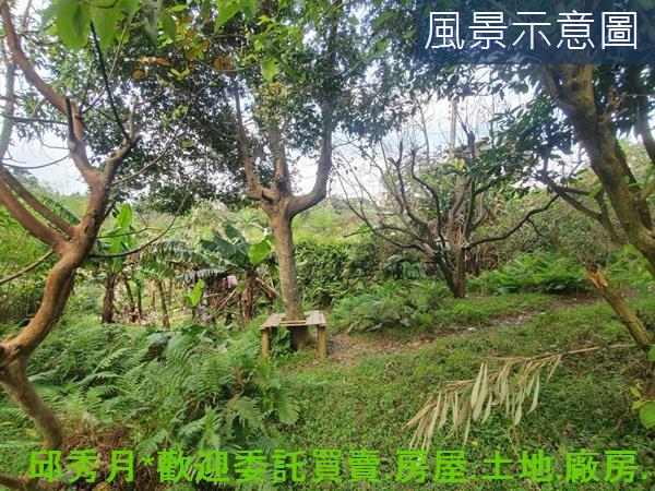 新北三芝農地-11