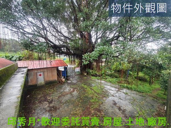新北三芝農地-2