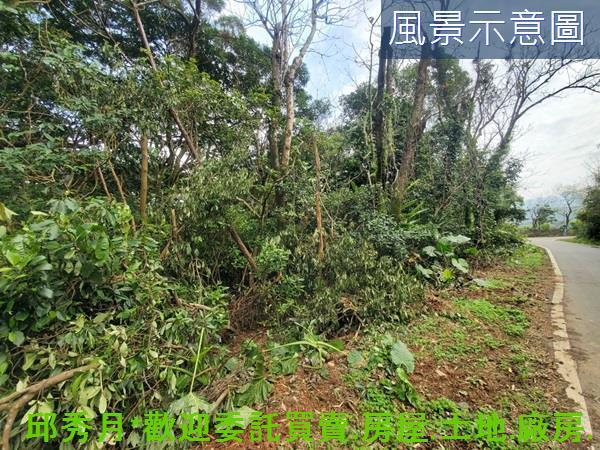 新北三芝農地-4