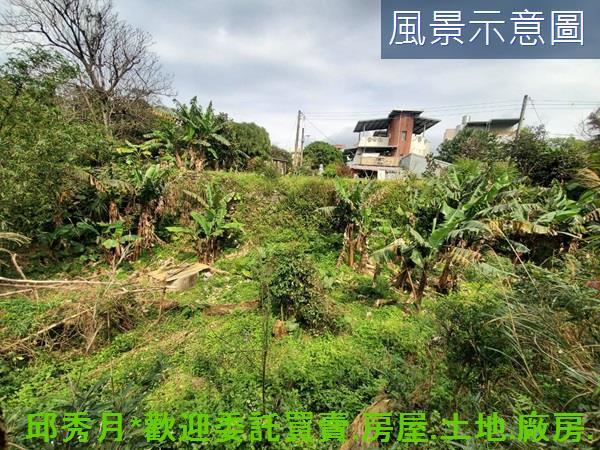新北三芝農地-8
