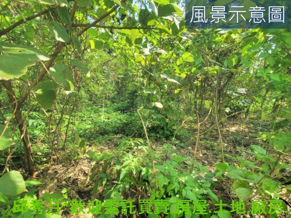新北三芝住宅地-11