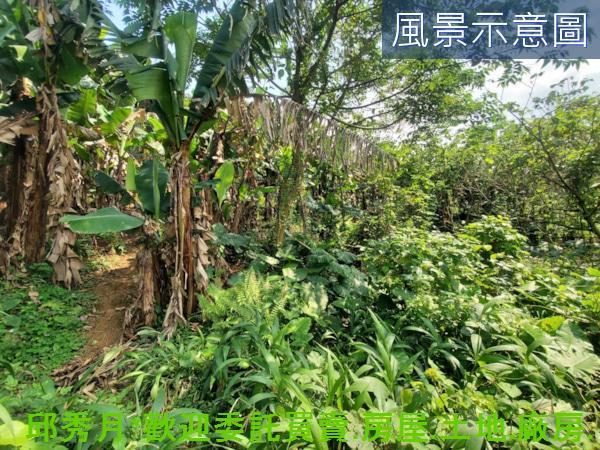 新北三芝住宅地-5