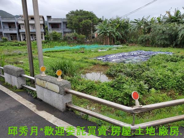 金山農地-2