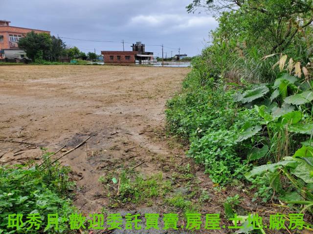 金山農地-10