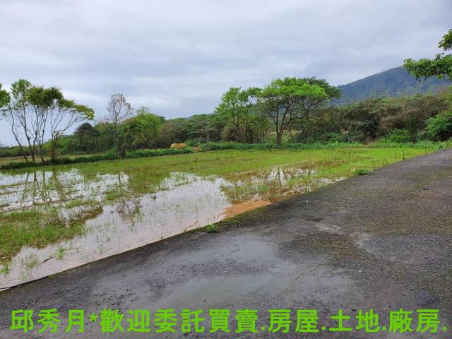 金山農地-2