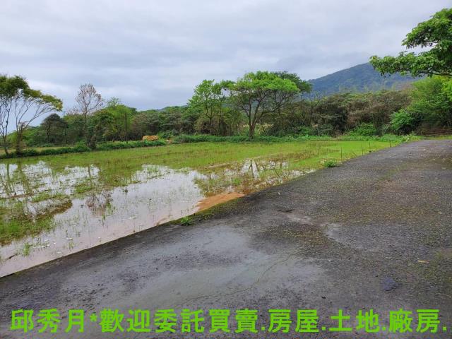 金山農地-3