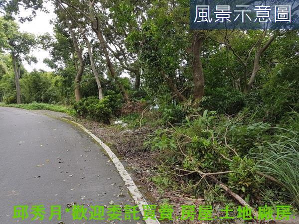 三芝農地-2