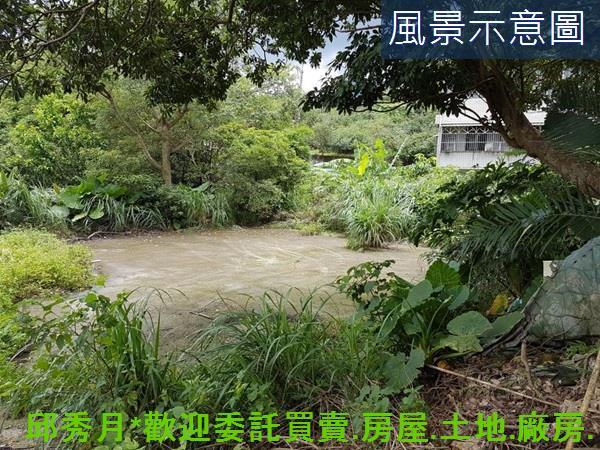 三芝農地-3